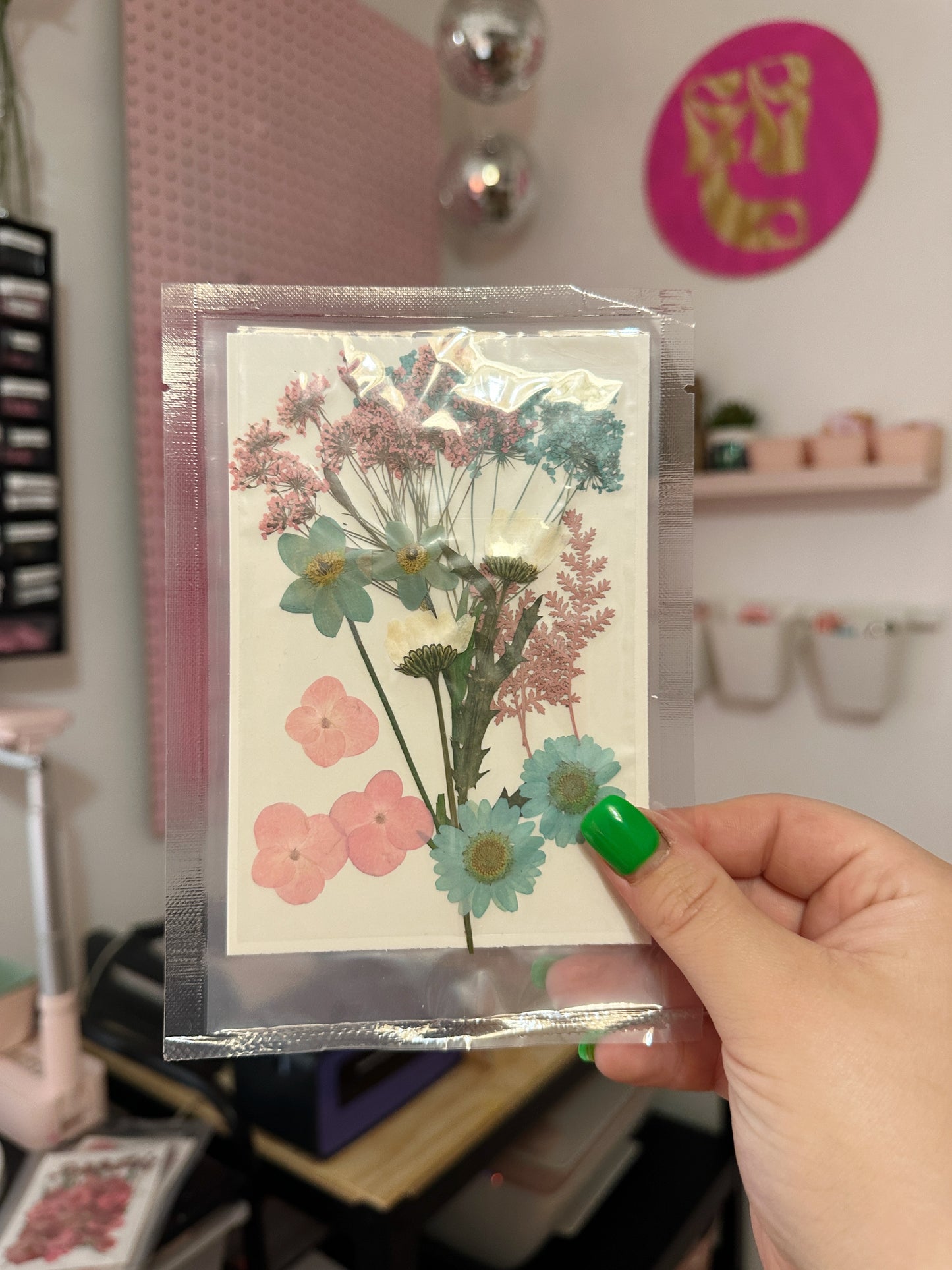 Blue and Pink Pressed Dried Flowers